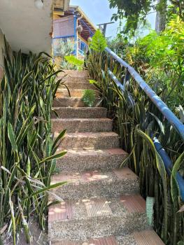 Montaña Sanadora, Medellín (photo 3)