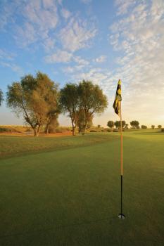 Arabian Ranches Golf Club Hotel, Dubái (foto 5)