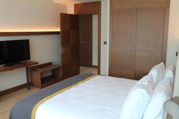 Nearport Hotel Sabiha Gokcen Airport, Istanbul (fotografie 3)