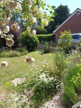 Firefly Studio, Holt (Foto 3)