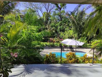 House in the palm forest, Carrillo (photo 4)