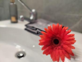 Le grazie boutique, Janov (fotografie 5)