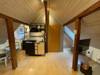 Modernes 1-Raum-Apartment, Drážďany (fotografie 2)