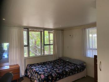 Bays stay, Auckland (Foto 3)
