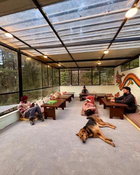 Eevolve Dharamkot - An Eco Hostel, McLeod Ganj (fotografie 4)