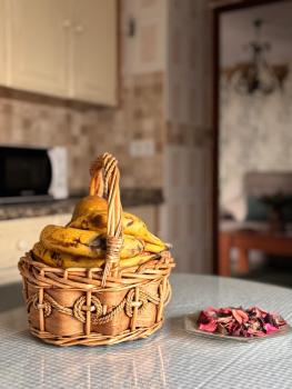 The Pava's House, Ronda (photo 2)