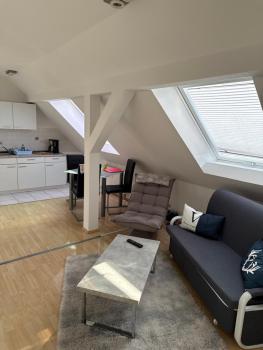 Kuschelige Dachgeschosswohnung am Clarapark, Leipzig (Foto 4)