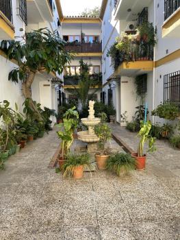 CENTRO - Patio Andaluz San Pablo - PARKING GRATIS- WIFI, Córdoba (fotografie 3)