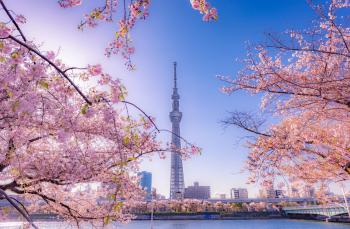The Westin Tokyo, Токио (фото 3)