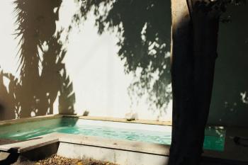 Pool & Garden Apt In the Heart of Lisbon, Lizbona (zdjęcie 5)