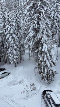 студио Е 13, Pamporovo (fotografie 5)
