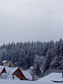 Casele Manea, Buşteni (Foto 2)