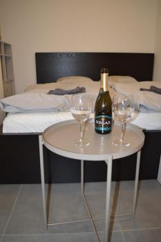 Cosy flat in centre of Riga, Riga (foto 5)