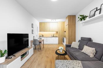 BNB Central Comfort on Jegeho, Bratislava (fotografie 4)