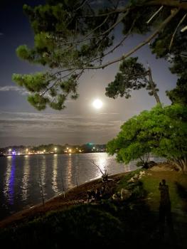 Leo, Punta del Este (foto 5)
