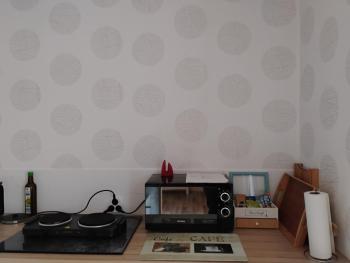 Appartement prox CHU Hautepierre, Strasbourg (photo 5)