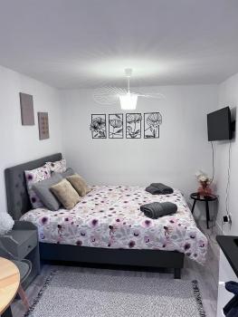 Le Patcho Charmant studio Confortable & Chaleureux , idéalement situé proche centre ville Quartier Neustadt Tribunal, Contades, Strasbourg (photo 2)