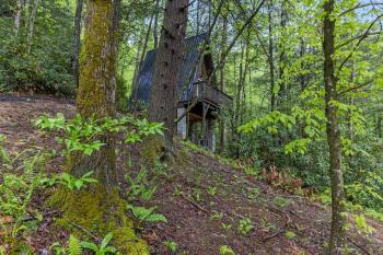 A-Frames Under the Canopy - Entire Property, Rogers (Foto 2)