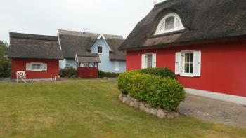 Seestern, Glowe (photo 2)