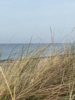 Ferienhaus 1, Fehmarn (fotografie 4)