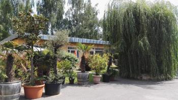 Fewo 4, Dresden (photo 3)