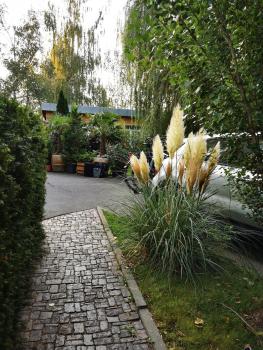 Ferienwohnung Silva, Drážďany (fotografie 5)
