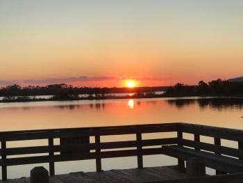 Cabin By The Sea, Ormond Beach (foto 5)