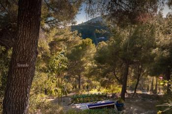 Casa Surrender, Cómpeta (foto 4)
