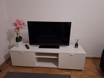 Ferienwohnung nähe Universität-Novartis, Basel (Foto 2)
