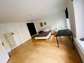 Wohnung, 3 Zimmer, eines davon Durchgangszimmer, ruhig, Graz Zentrum, Štýrský Hradec (fotografie 5)