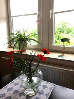 Ferienwohnung an der Elbfähre, Drezno (zdjęcie 5)