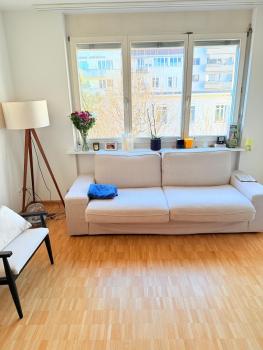 Very nice flat 80 meter from SBB, Basilea (foto 3)