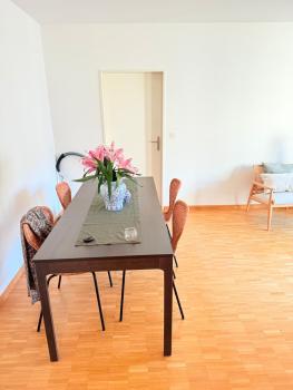 Very nice flat 80 meter from SBB, Basilea (foto 4)