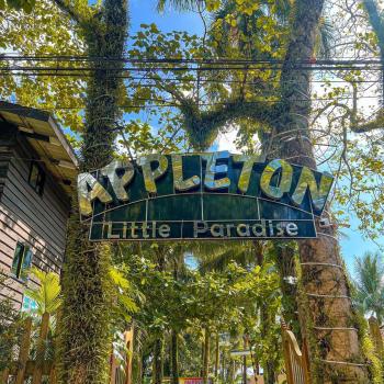 BEACH HOUSE - Appleton Liitle Paradise Beach Resort & Restaurant, Real (photo 5)