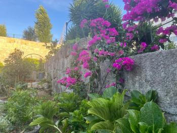 Hidden Gem near city center- garden, outdoor kitchen, sauna, Porto (photo 3)