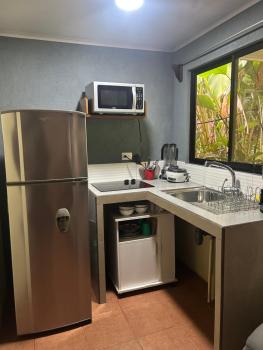 Apartment-Pura Vida-Wi-Fi-TV-WC-AC-Parqueo, Fortuna (foto 5)