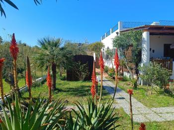 Garden & Sea, Vulcano (Foto 3)