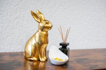 Spacious Apartment near Roche and Tinguely - Special ROGER F RABBIT 4 Apartment, Basel, up to 6 guests, Bâle (photo 3)