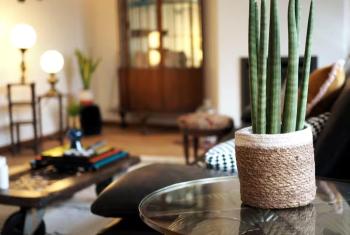 Stylish & Spacious Flat viewing the Lovely MAS, Amberes (foto 4)