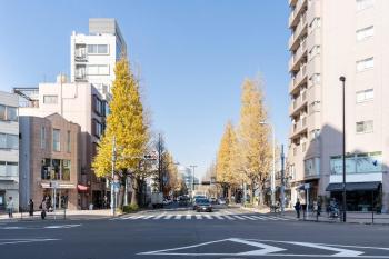 ALTERNA Ebisu, Tokyo (foto 5)