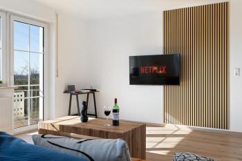 ADN DREAMLEAF - LUXURY - NATURE - free parking, Günzburg (foto 3)