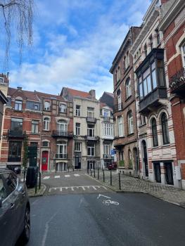 European District Apartment Seven, Brüssel (Foto 5)