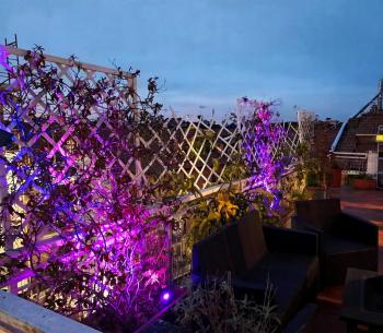 Rooftop Appia antica , silent and reserved two bedrooms two bathrooms, Roma (foto 3)