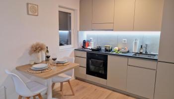 Queensize-Bett, Arbeitsplatz, gratis Parkplatz, St. Gallen (fotografie 5)