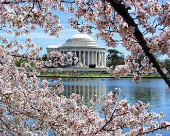 Stylish1BR, Arlington,FREEPark,Pool, Gym Wifi,, Arlington (foto 2)