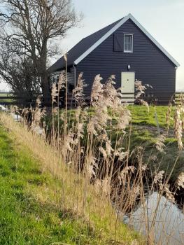City Farmers Lodge, a Guesthouse with a skyline view in Rural Amsterdam, Ámsterdam (foto 3)