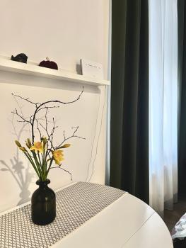 CHERRY apartment, Riga (fotografie 5)