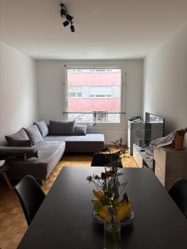 Apartment in Basel, Basilea (foto 5)