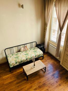 Cozy Loft City Center Croix-Rousse, Lyon (photo 5)