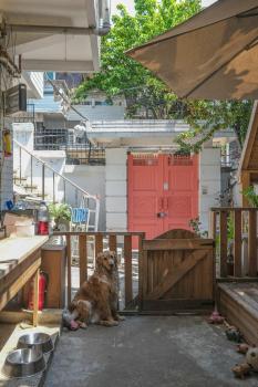Helloworld guesthouse, Seúl (foto 3)